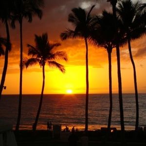 Meet your Posher, Vicky